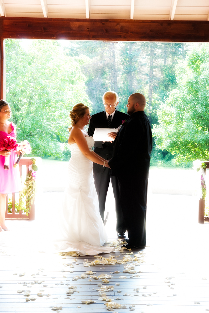 Pine Knob Carriage House Clarkston wedding reception photograph