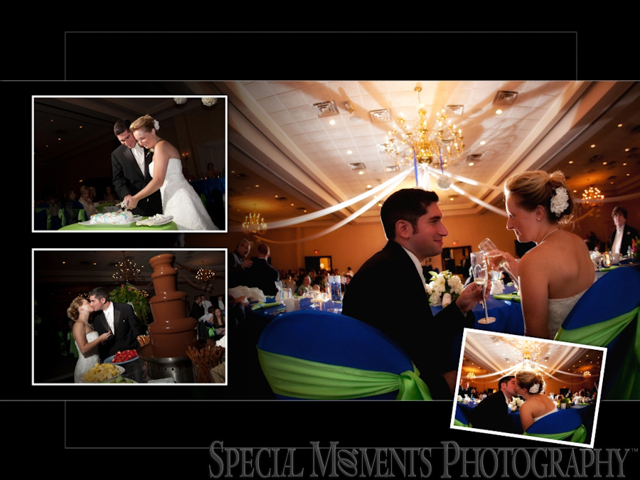 Kensington Court wedding photograph Ann Arbor MI