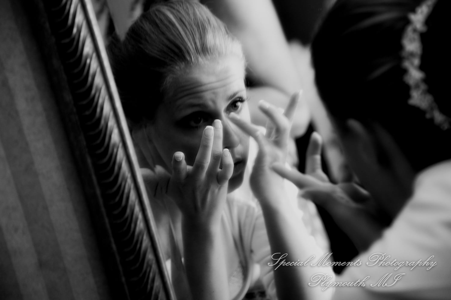 Crystal Gardens Howell MI wedding photograph