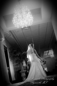Jennifer & Bradley at Crystal Gardens Howell MI wedding photography