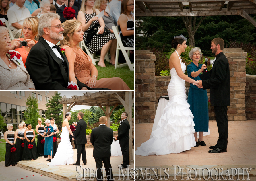 Ypsilanti Marriott Ypsilanti MI wedding