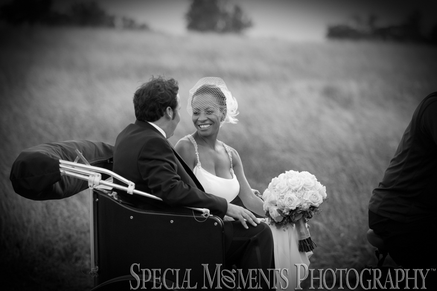Livingstone Lighthouse Belle Isle Detroit wedding