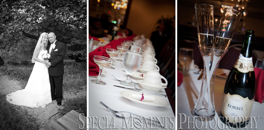 St. Mary Cultural Center Livonia MI wedding