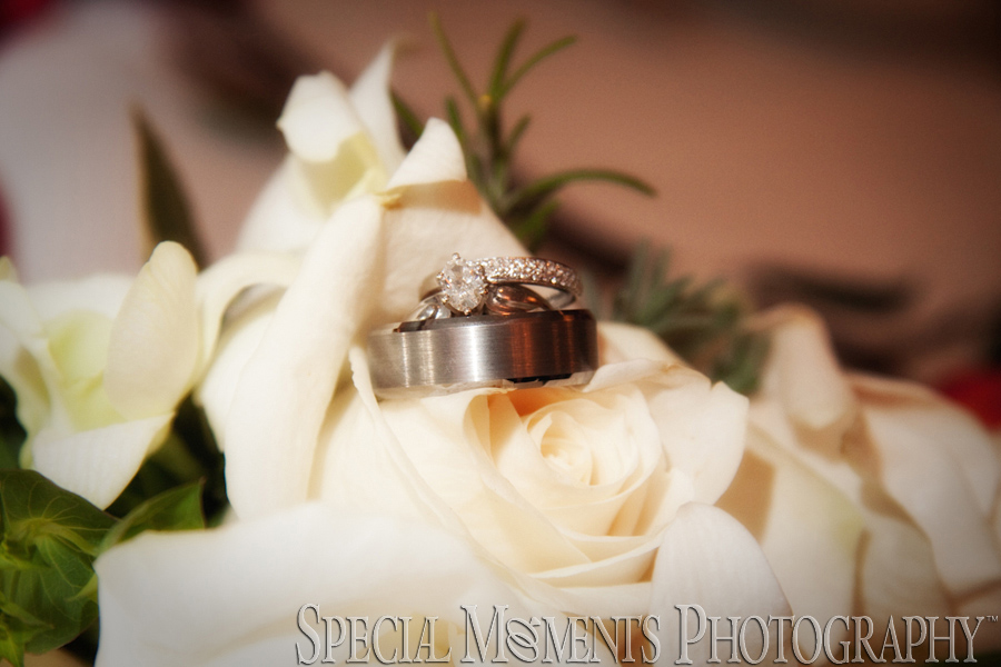 St. Mary Cultural Center Livonia MI wedding