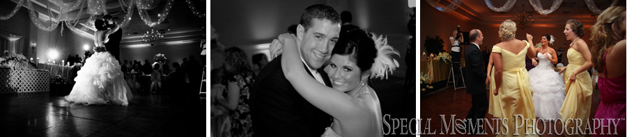 Kensington Court Ann Arbor MI wedding reception