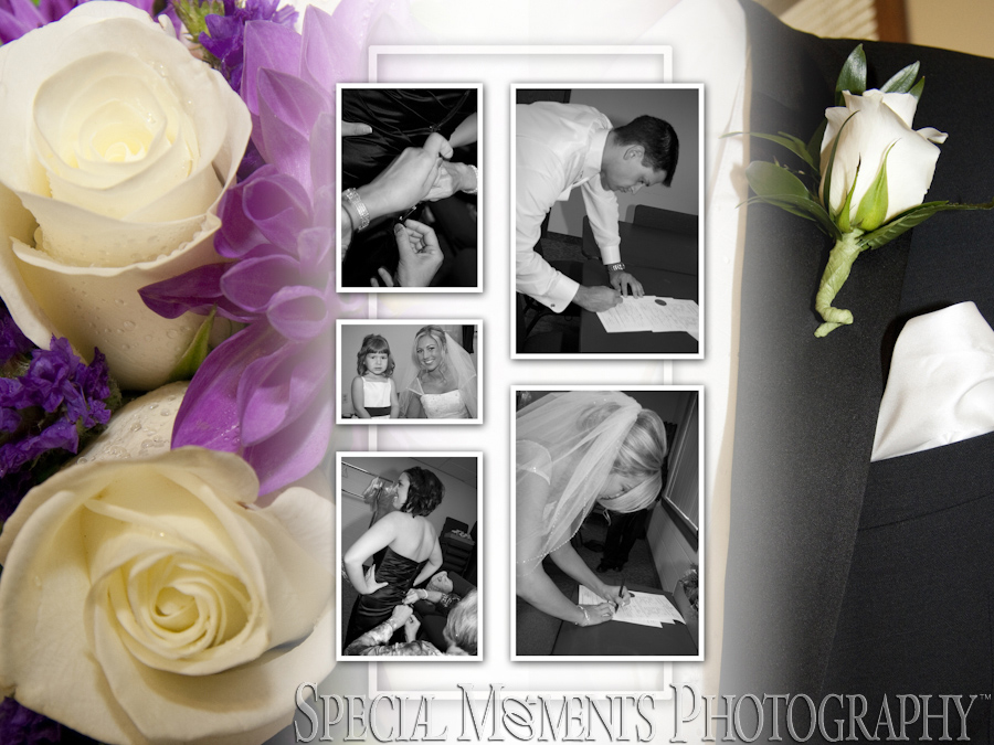 St. Thomas A-Becket Canton MI wedding photography