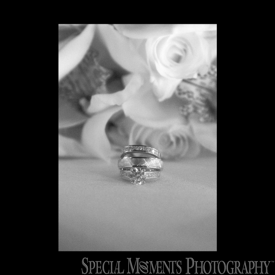 Lovett Hall Greenfield Village Dearborn MI wedding photograph
