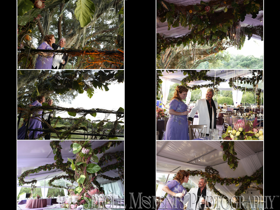 Orange Tree Golf Club Orlando FL wedding reception