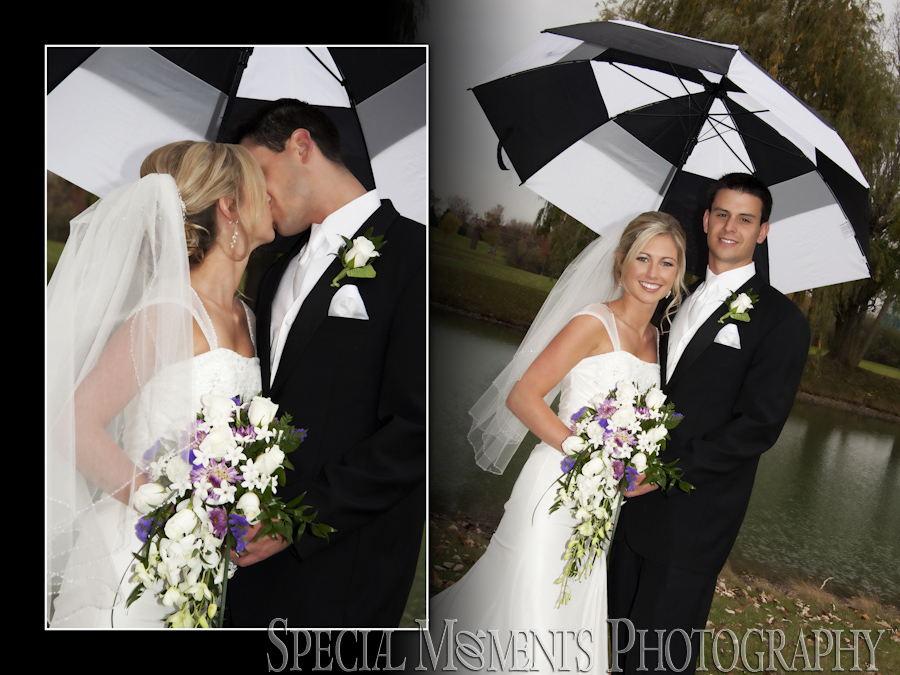 Heritage Park Canton MI wedding photography
