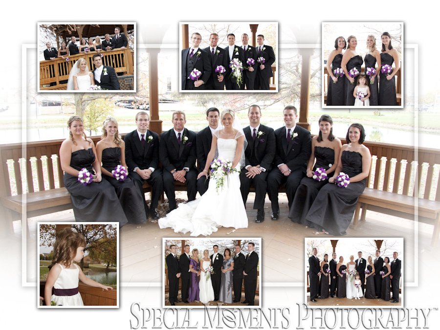 Heritage Park Canton MI wedding photography