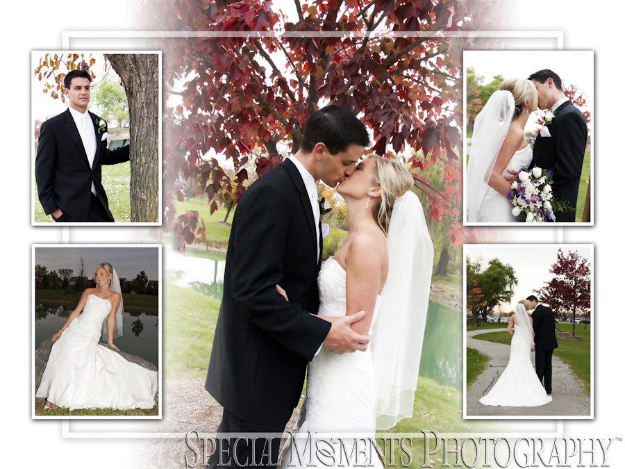 Heritage Park Canton MI wedding photography
