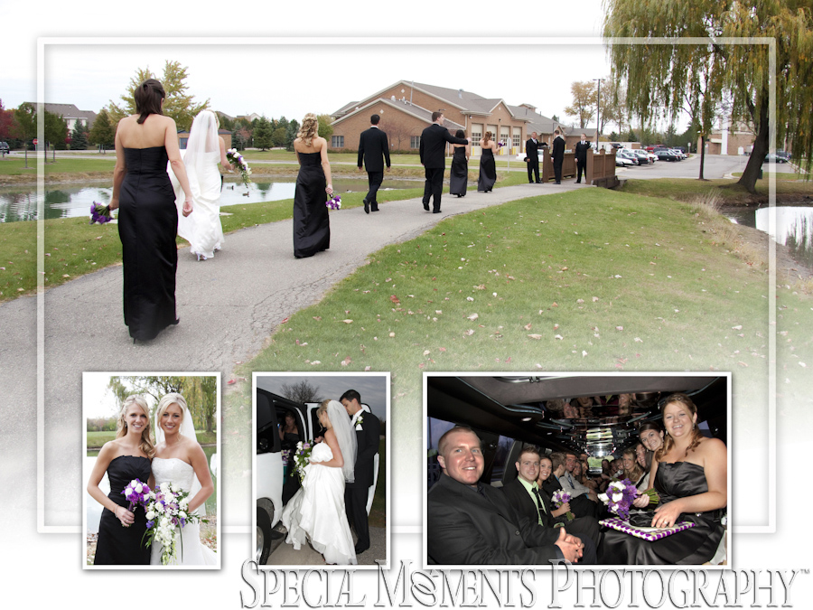 Heritage Park Canton MI wedding photography