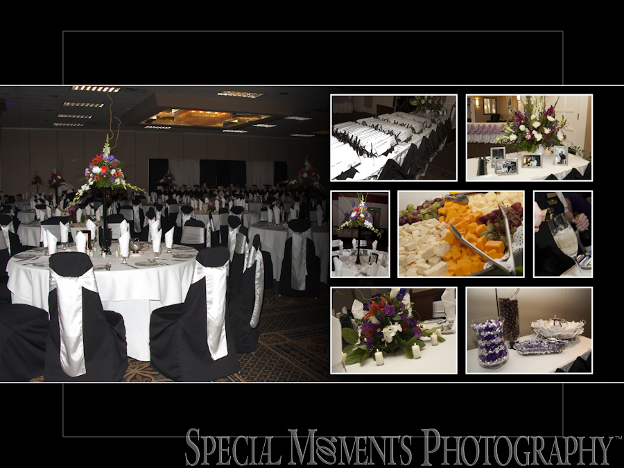 Burton Manor Livonia MI wedding photography