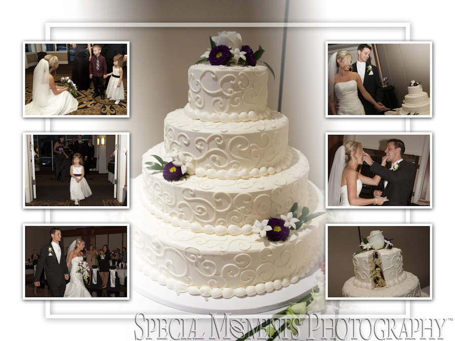 Burton Manor Livonia MI wedding photography