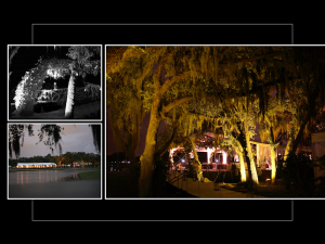 Coffee Table Design - Chad & Shannon at Orange Tree Golf Club Orlando FL wedding reception