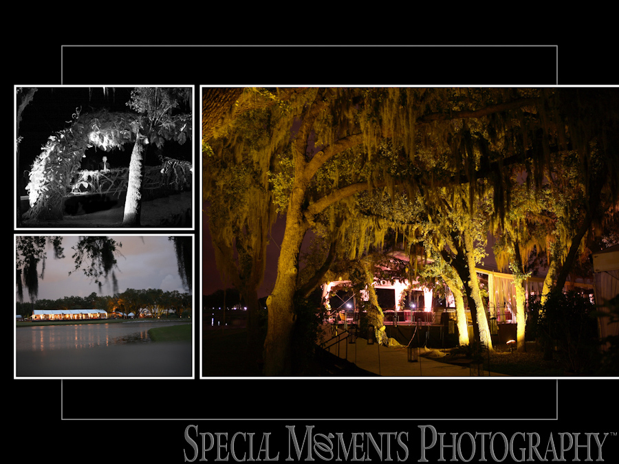 Orange Tree Golf Club Orlando FL wedding reception