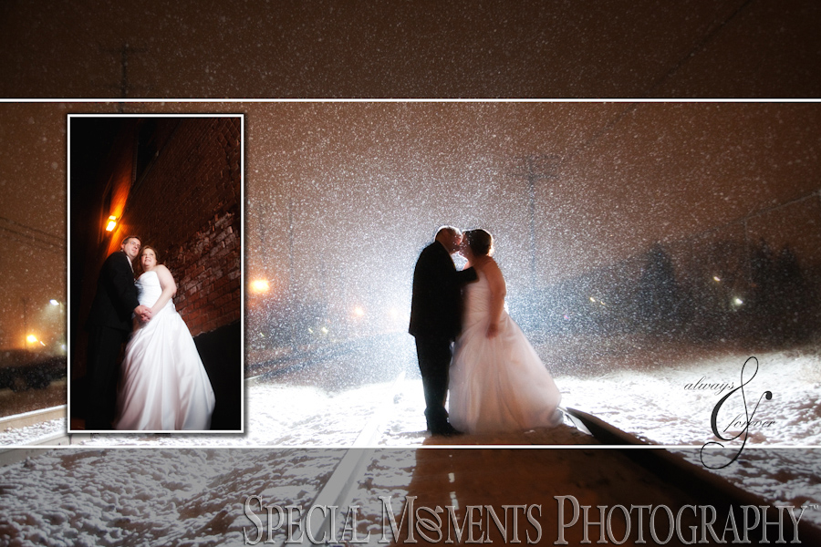 Plymouth Manor Plymouth MI wedding photography
