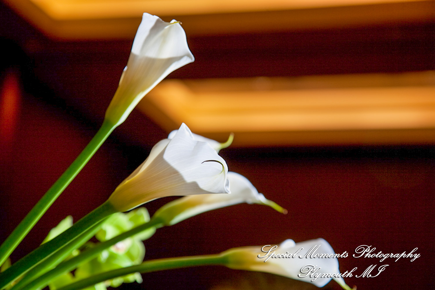 Julie & Ajay at MGM Grand Hotel & Casino Detroit MI wedding photography