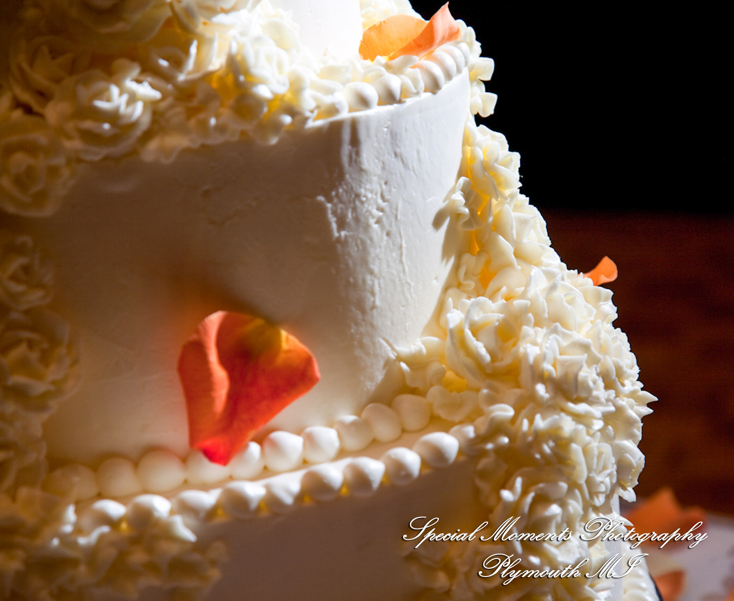 Julie & Ajay at MGM Grand Hotel & Casino Detroit MI wedding photography