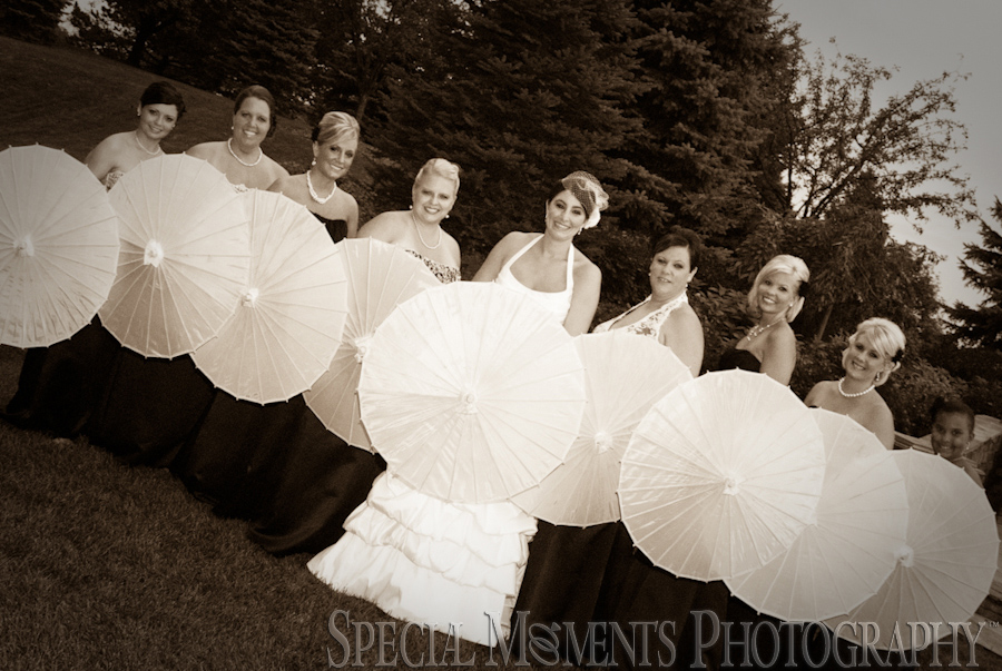 Ypsilanti Marriott Ypsilanti wedding photograph