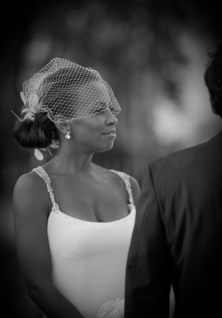 Catherine & Mike at Detroit Yacht Club Detroit/Belle Isle MI wedding photograph