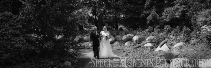 Fox Hills Country Club Plymouth reception photograph