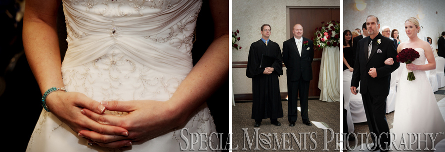 Summit on the Park wedding photograph Canton MI