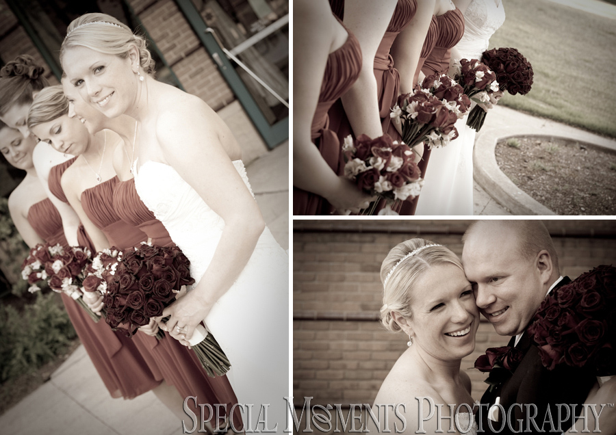 Summit on the Park wedding photograph Canton MI