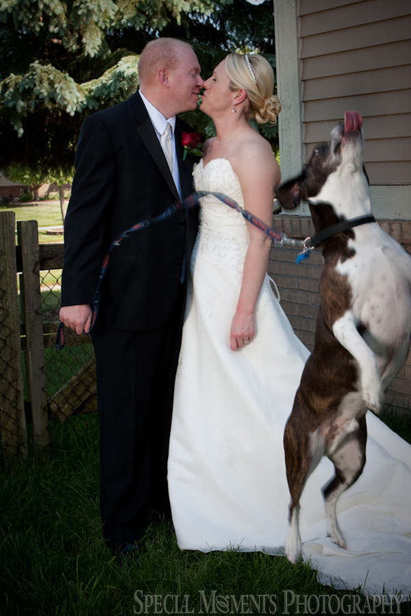 Summit on the Park wedding photograph Canton MI