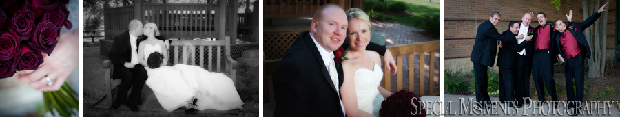 Summit on the Park wedding photograph Canton MI