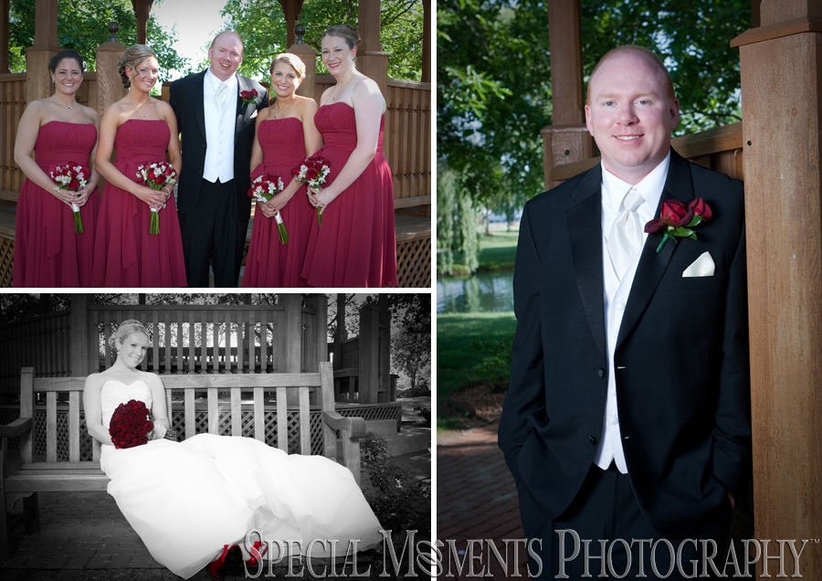 Summit on the Park wedding photograph Canton MI