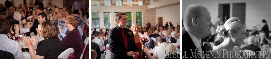 Summit on the Park wedding photograph Canton MI
