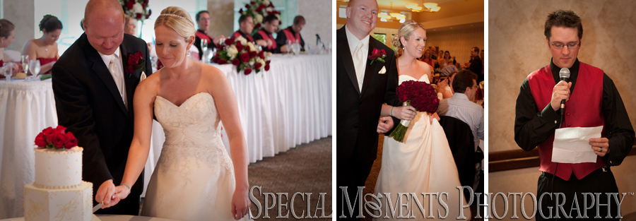 Summit on the Park wedding photograph Canton MI