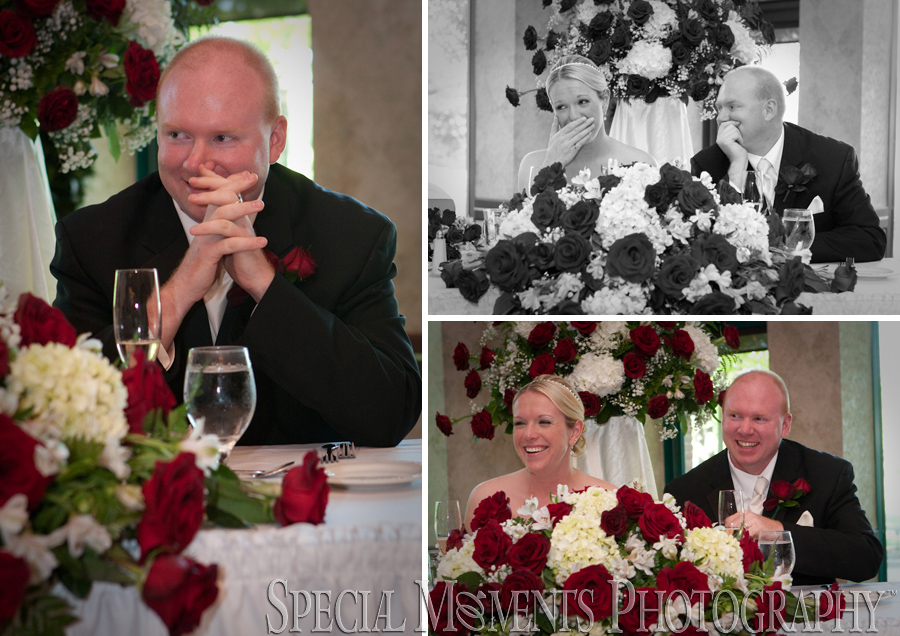 Summit on the Park wedding photograph Canton MI