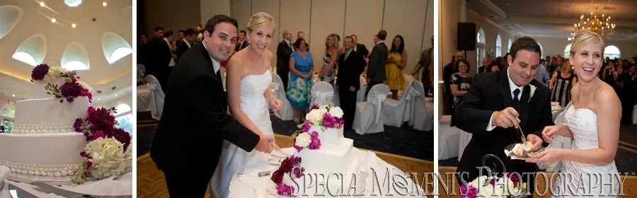 Cherry Creek Golf Club Shelby Twp. wedding reception photograph