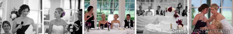 Cherry Creek Golf Club Shelby Twp. wedding reception photograph