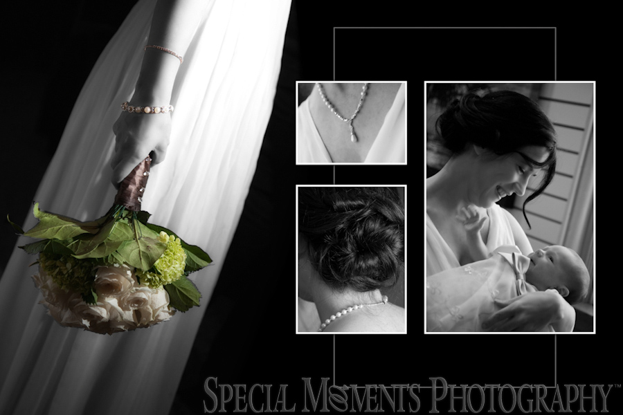 Stone Arch wedding photograph Saline MI