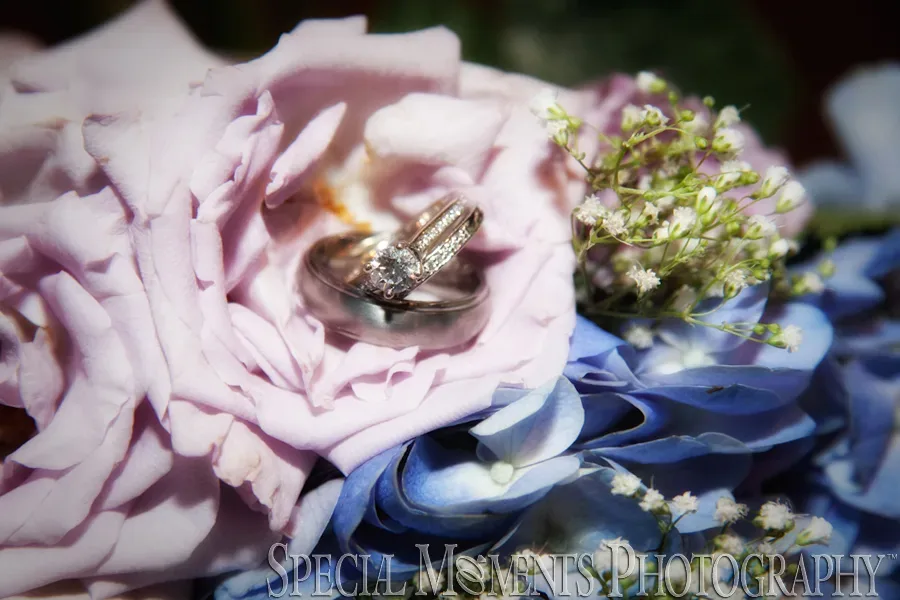 Wellers Carriage House wedding Saline MI