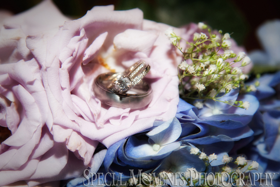 Wellers Carriage House wedding Saline MI