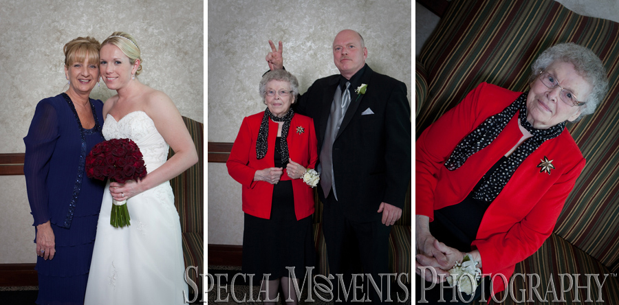 Summit on the Park wedding photograph Canton MI