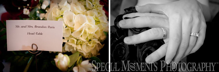 Summit on the Park wedding photograph Canton MI