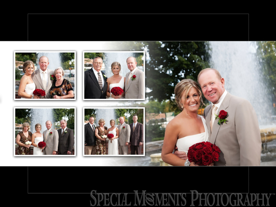 Kellogg Park wedding photograph Plymouth MI