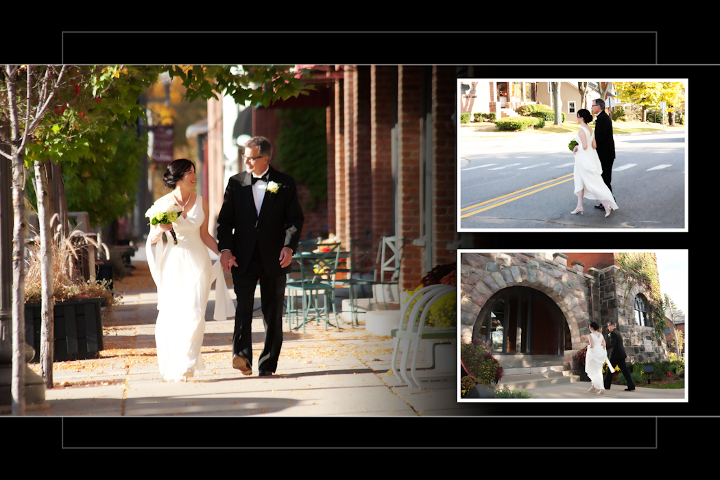 Stone Arch wedding photograph Saline MI