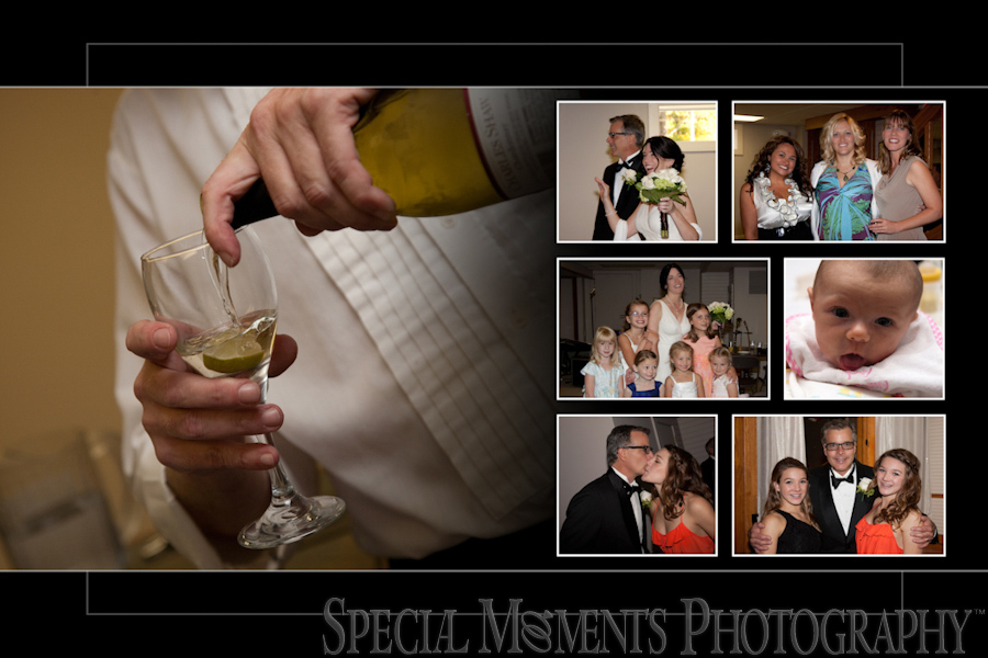 Stone Arch wedding photograph Saline MI