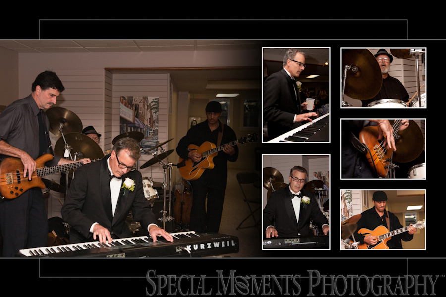 Stone Arch wedding photograph Saline MI