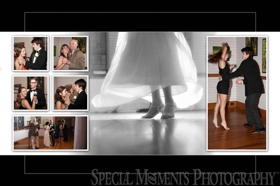 Stone Arch wedding photograph Saline MI
