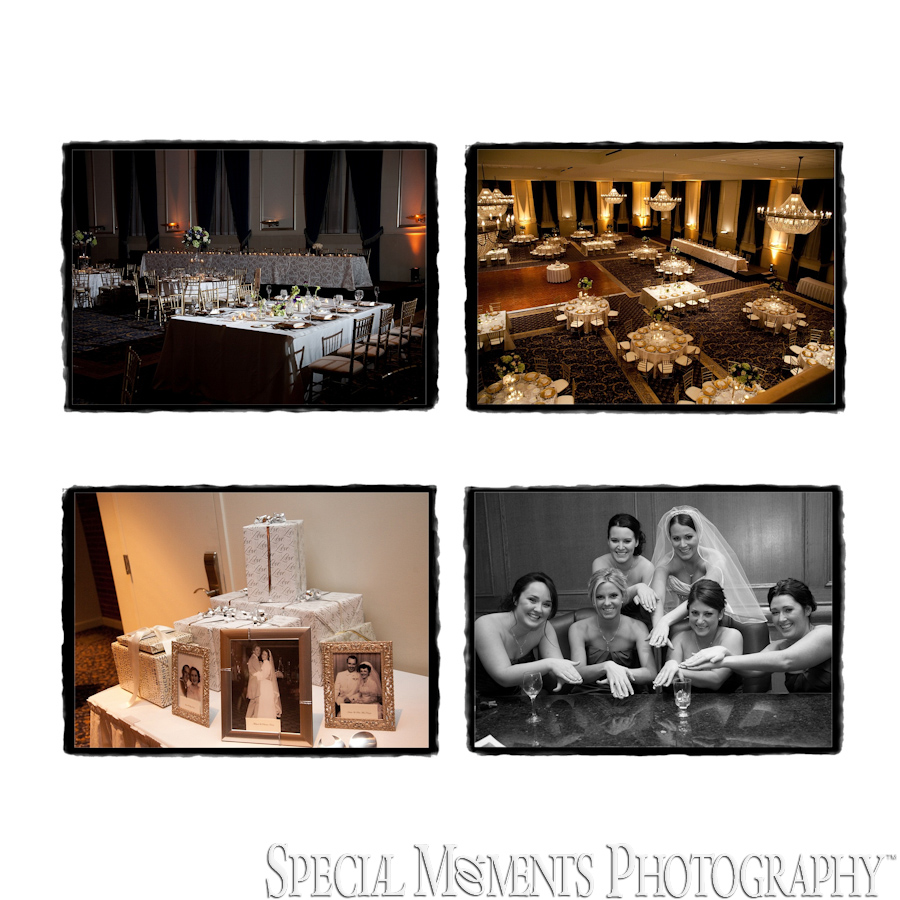 St. John Inn Grande Ballroom Plymouth MI Reception wedding photograph