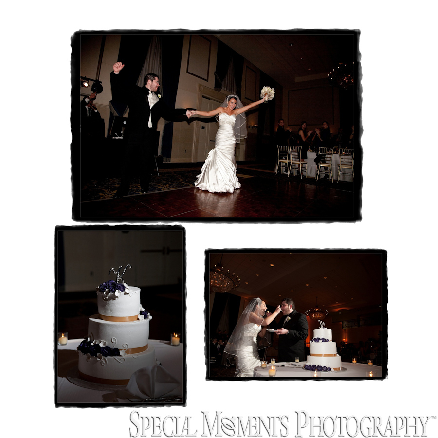 St. John Inn Grande Ballroom Plymouth MI Reception wedding photograph