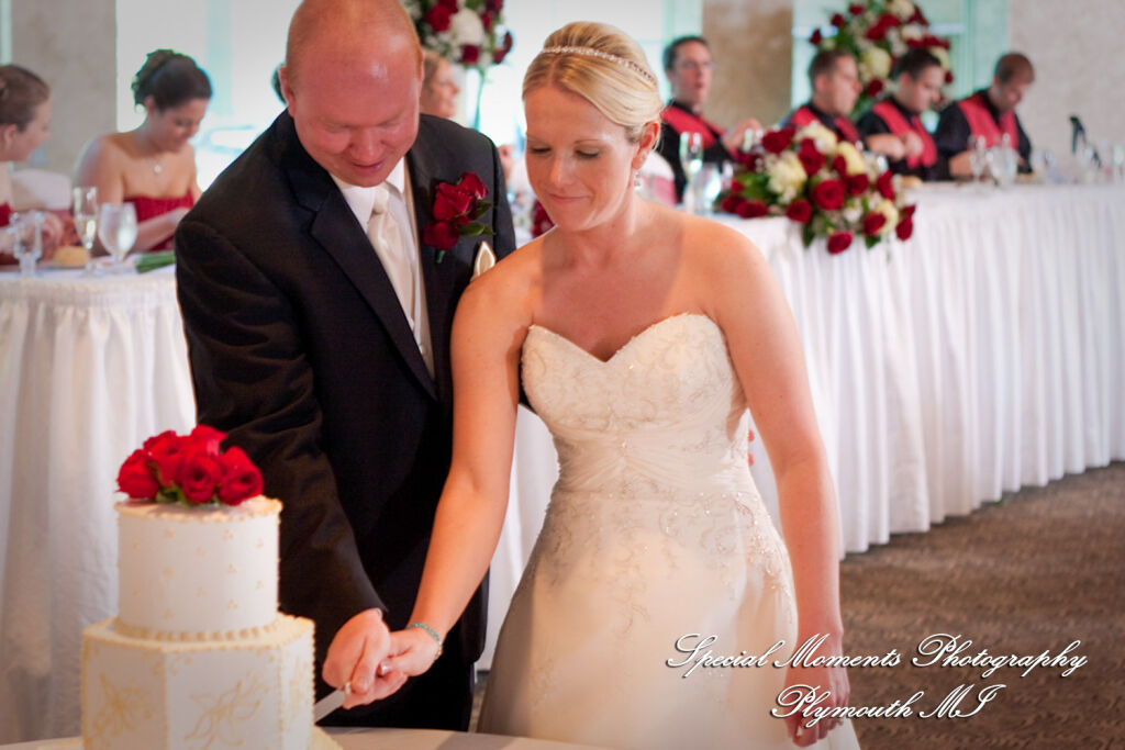 Erika & Brandon at Summit on the Park Canton MI wedding photography