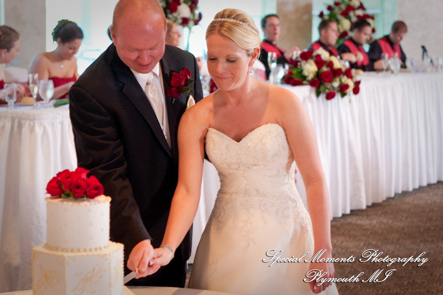 Erika & Brandon at Summit on the Park Canton MI wedding photography